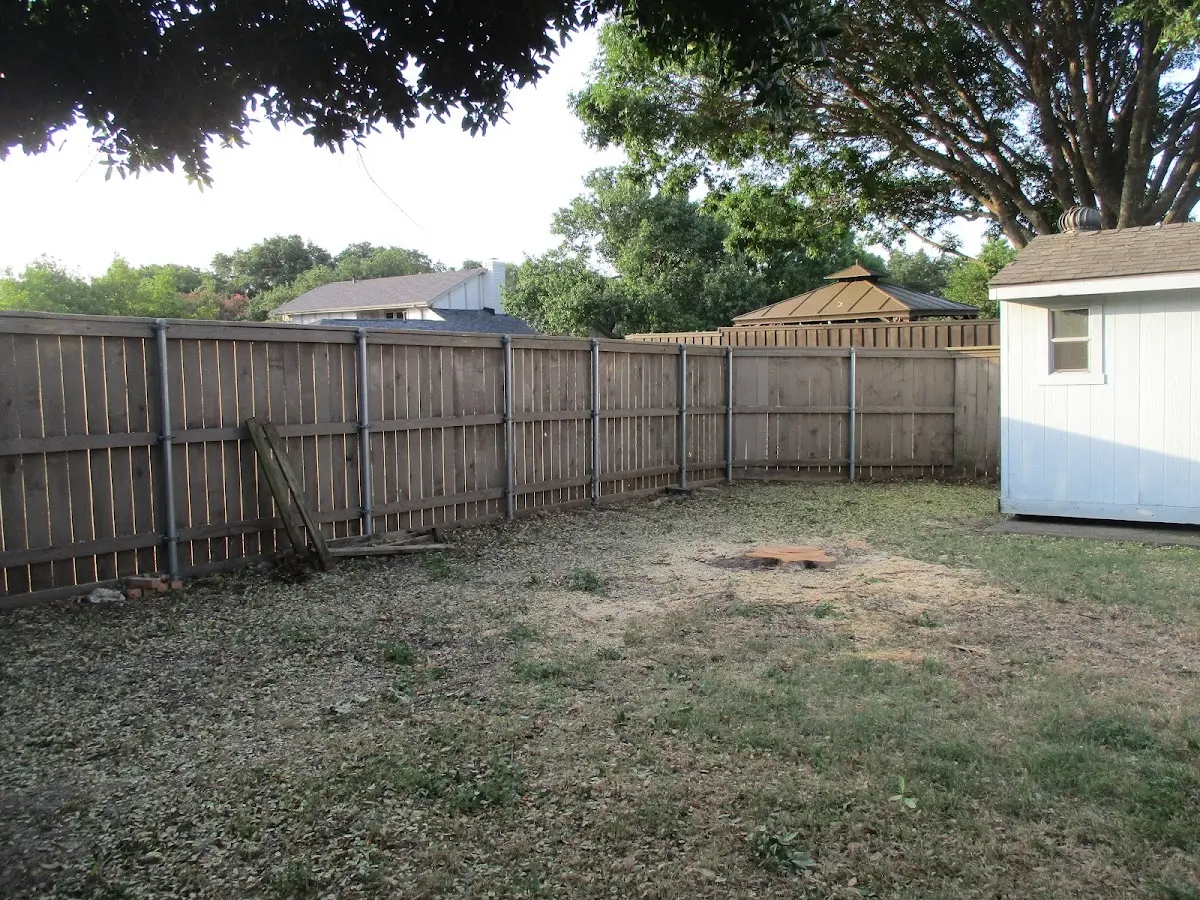 Cleared yard after professional tree removal in Kiowa